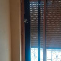 sbarra per trazioni lacertosus