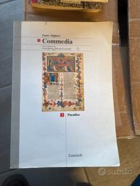 Libro la Divina Commedia Paradiso