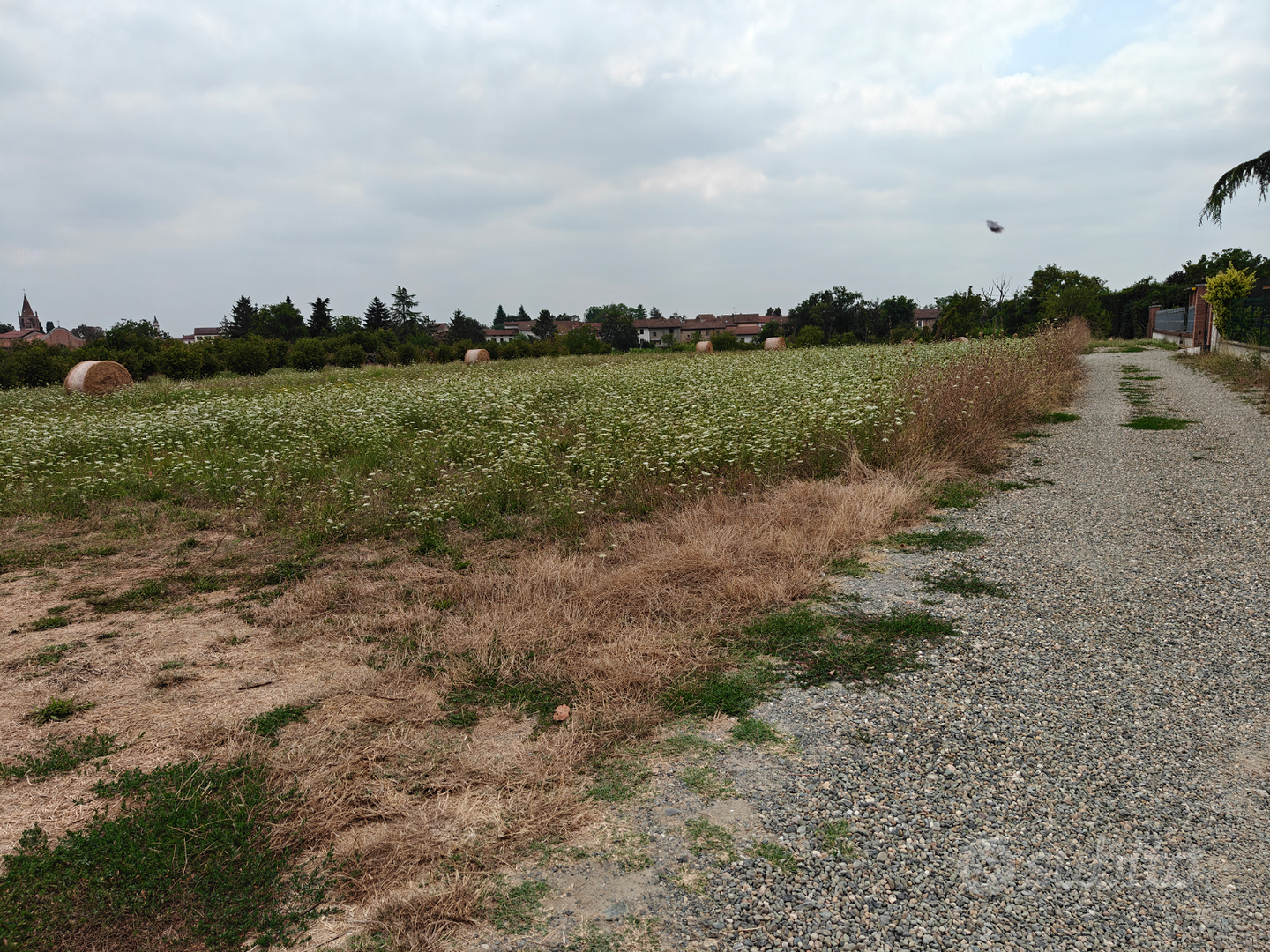 Terreno edificabile a Oviglio - View 5