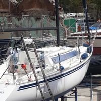 Barca a vela mt 9