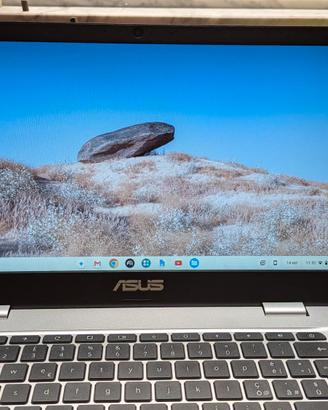 Chromebook ASUS C423NA