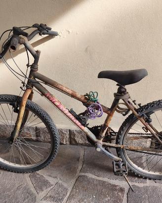 Mountain bike 