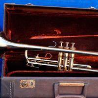 tromba Tromba F.E. Olds Ambassador s/n 748218 anno