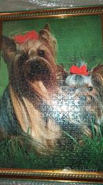 Quadro "Cani Yorkshire" - composizione puzzle