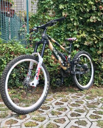 Bici da Freeride/Downhill