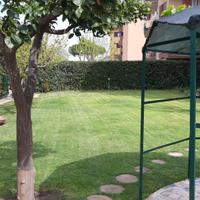 Marina di San Nicola - Appartamento con Giardino