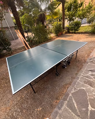 Tavolo Ping Pong
