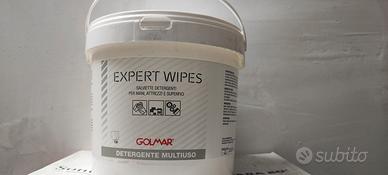 SALVIETTE DETERGENTI EXPERT WILPES GOLMAR