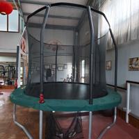 Trampolino elastico
