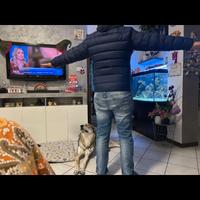 piumino Tommy uomo