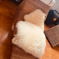 2 poltrone chaise longue