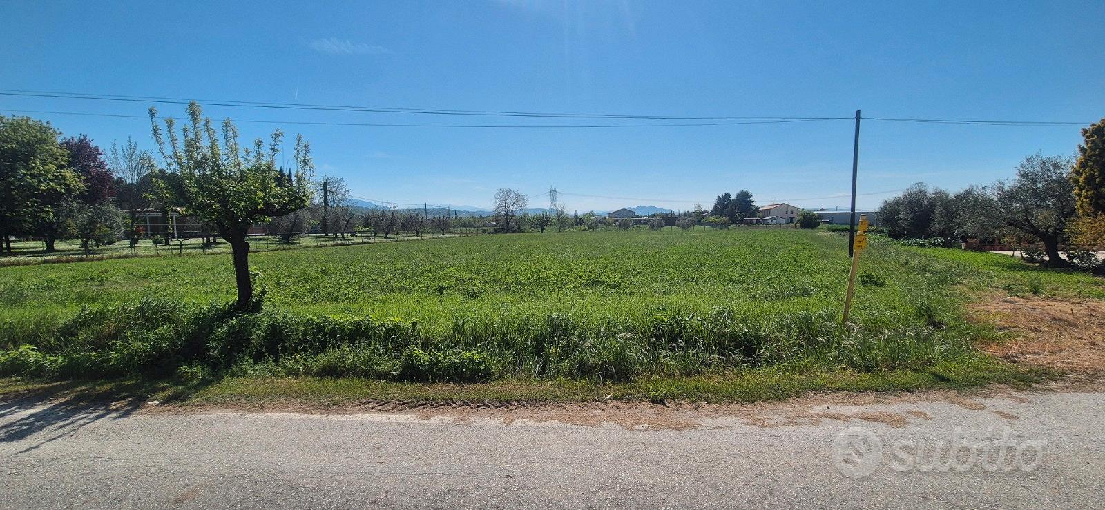 Terreno agricolo in pianura - Vista 2