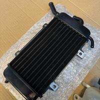 Radiatore e vaschetta zip sp