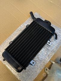 Radiatore e vaschetta zip sp