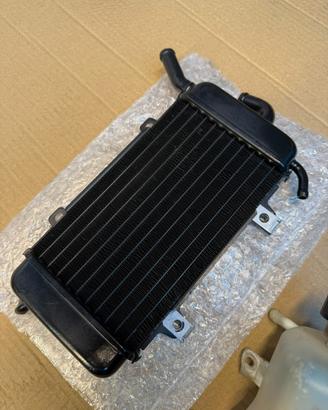 Radiatore e vaschetta zip sp