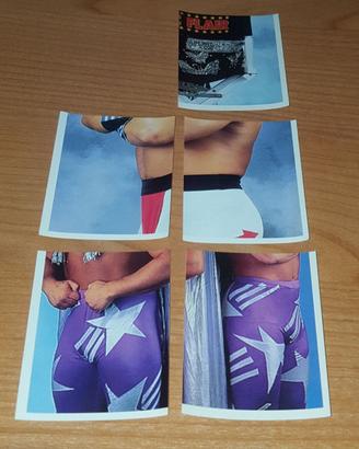 WWF WWE Merlin stickers figurine vintage lotto