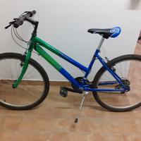 Bicicletta verde e blu