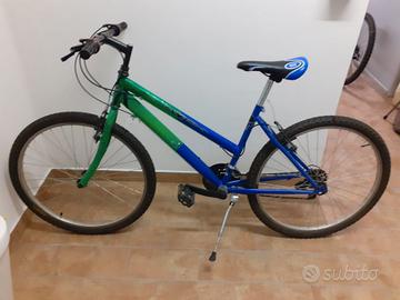 Bicicletta verde e blu