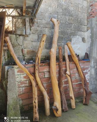 Tronchi ginepro