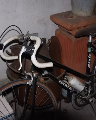 Bicicletta Atala da donna