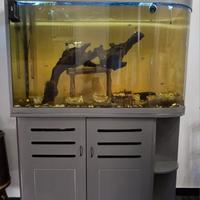 acquario  OCEANSON by AQUARIALAND