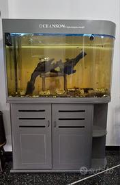 acquario  OCEANSON by AQUARIALAND