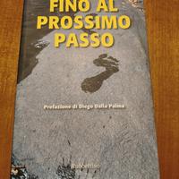 libro " Fino al prossimo passo"
