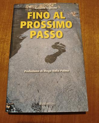 libro " Fino al prossimo passo"