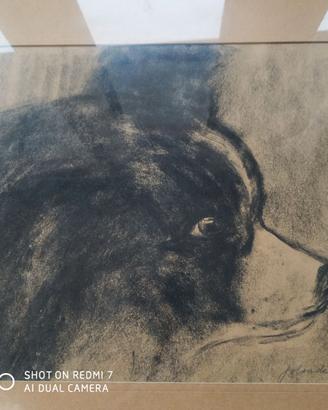 Quadro a carboncino testa cagnolino