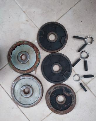 panca palestra BM 160