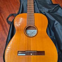 Chitarra con custodia 