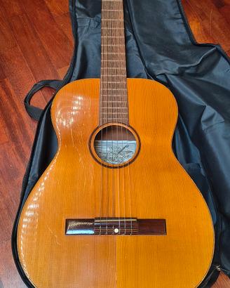 Chitarra con custodia 