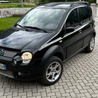 Panda Monster 1300 multijet 4x4