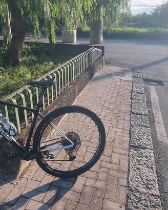 Mtb 29 carbonio