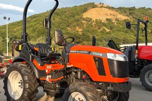 Trattorino TAFE modello 6028 M PROMO ATTREZZO