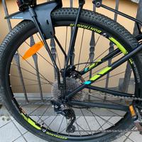 MTB Trek