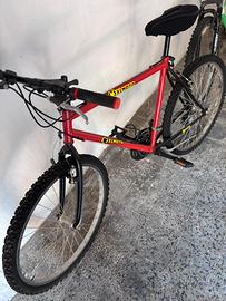 Vecchia MTB ricondizionata