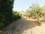 Immagine 10