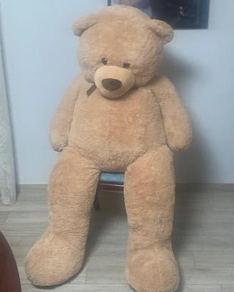 Teddy bear