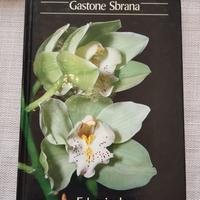ORCHIDEE - Gastone Sbrana