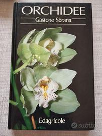 ORCHIDEE - Gastone Sbrana