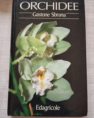 ORCHIDEE - Gastone Sbrana