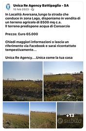 Terreno agricolo 8500 mq