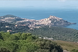 Struttura Agricola -Ricettiva