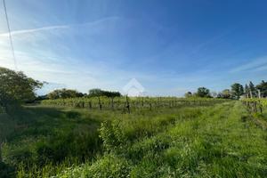 TER. AGRICOLO A CARPI