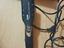 Immagine 6
