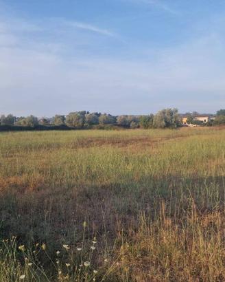 Terreno di 1700 m² a Roma