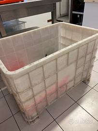 Cassa Pallet in plastica