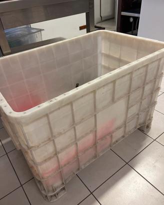 Cassa Pallet in plastica