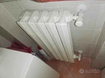Radiatore in ghisa (cm 69Hx40L)